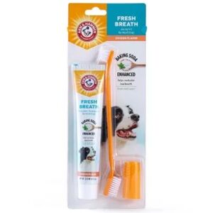 Arm & Hammer Fresh Breath Dog Dental Kit Chicken Flavor